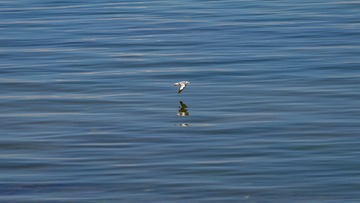 DSC00247-2