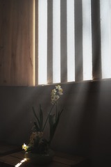 BB4BD7E7-6B8F-474D-967F-F2CD825297EF/L0/001