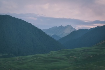 25372