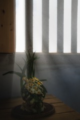 91F56A19-6F94-46D6-88AE-42DAC5B42112/L0/001