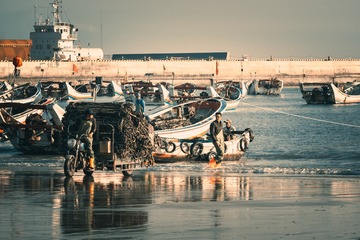 25646