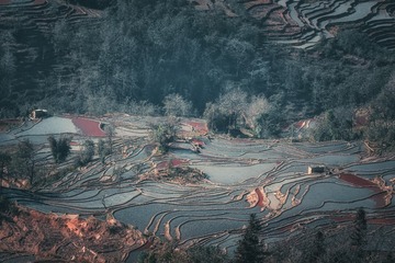 20111