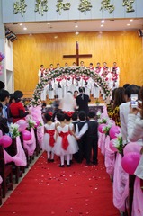 IMGP2453-1.jpg
