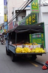 IMGP4230-1.jpg