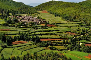 路边农村