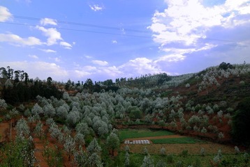 DSC_0098.jpg