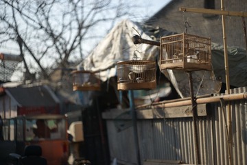 _DSC0325