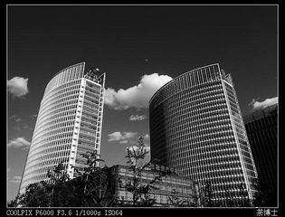 2011五月12_7104