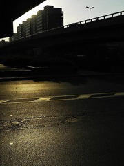 DSCN8605-w.jpg