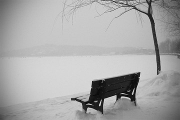 2010一月03_9240.jpg