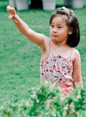 飞吧，小蝴蝶