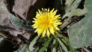 IMG_20121001_114318