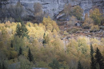SDIM2377
