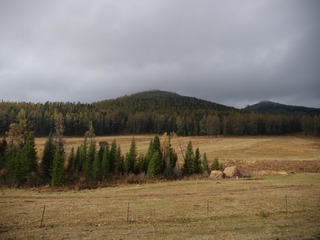 P2400890