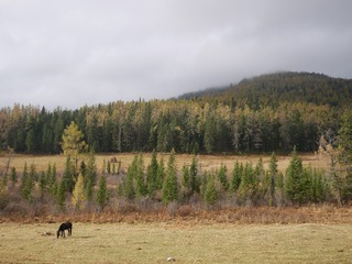 P2400949