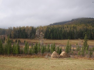 P2400991