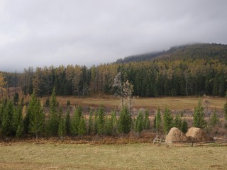 P2400996