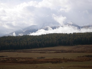 P2410371