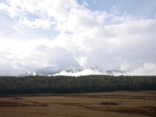 P2410415