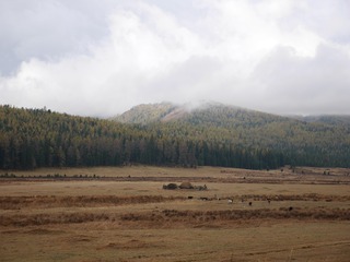 P2410536