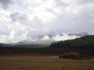 P2410691
