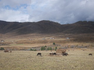 P2460531