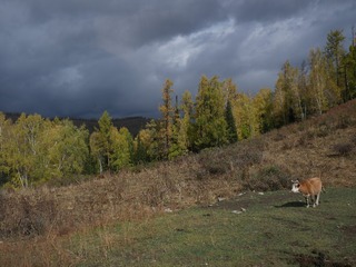 P2460650