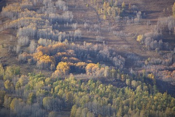 SDIM3225