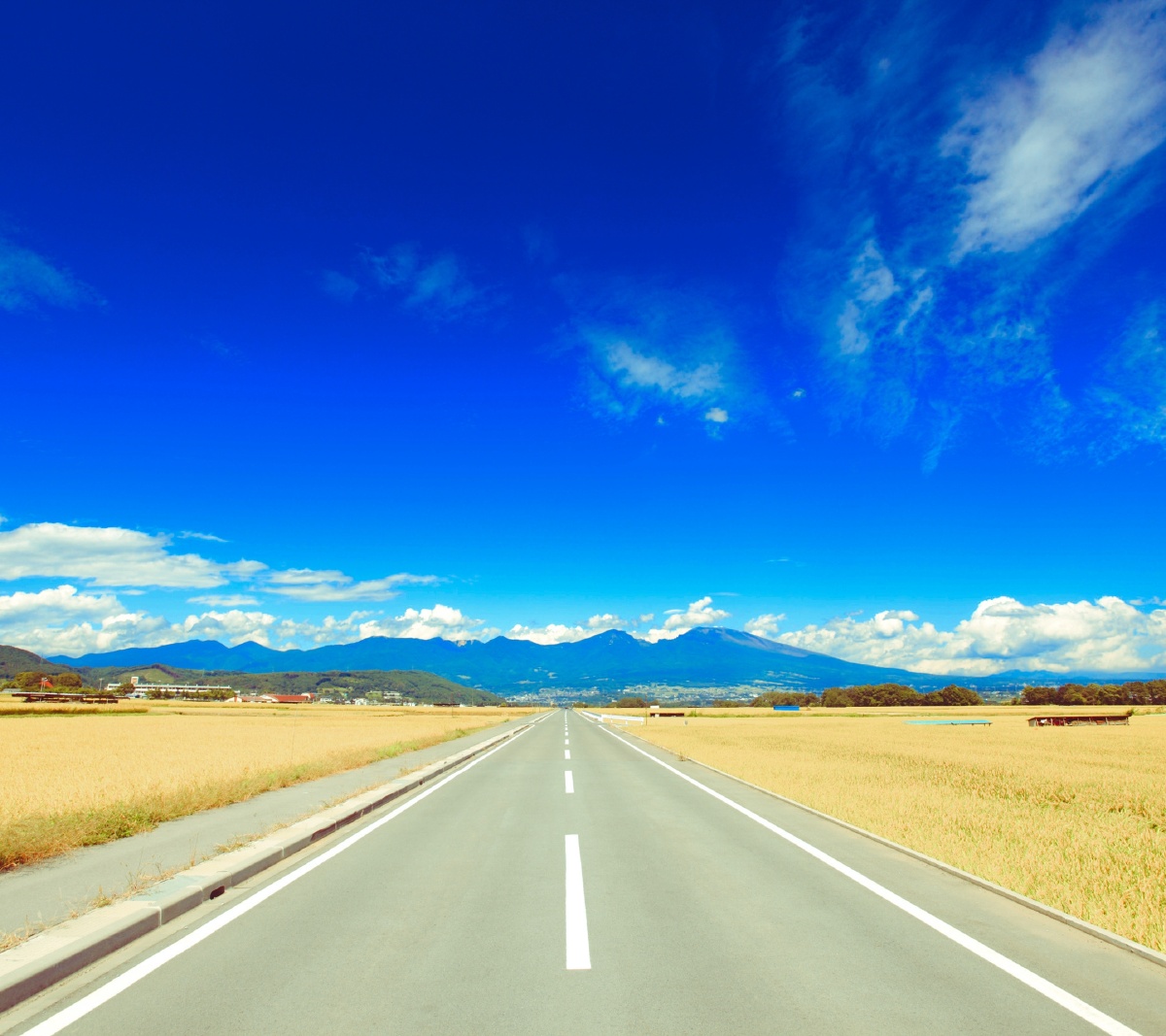 万里晴空前途光明