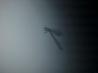 20090923083_副本3.jpg