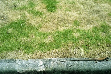 201005251361_副本.jpg