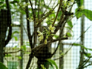 201103122742副本1.jpg