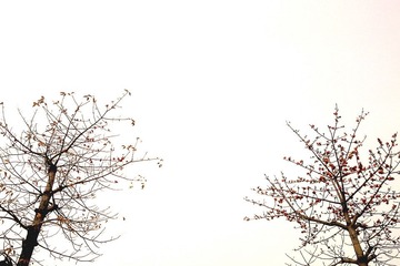 201103253124_副本1.jpg
