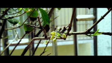 201103283194副本.jpg