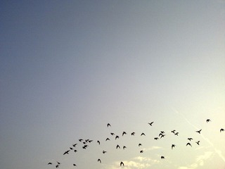 201103283296.jpg