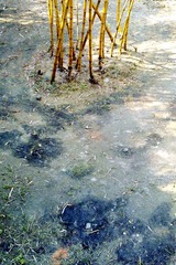 201104013450_副本2.jpg