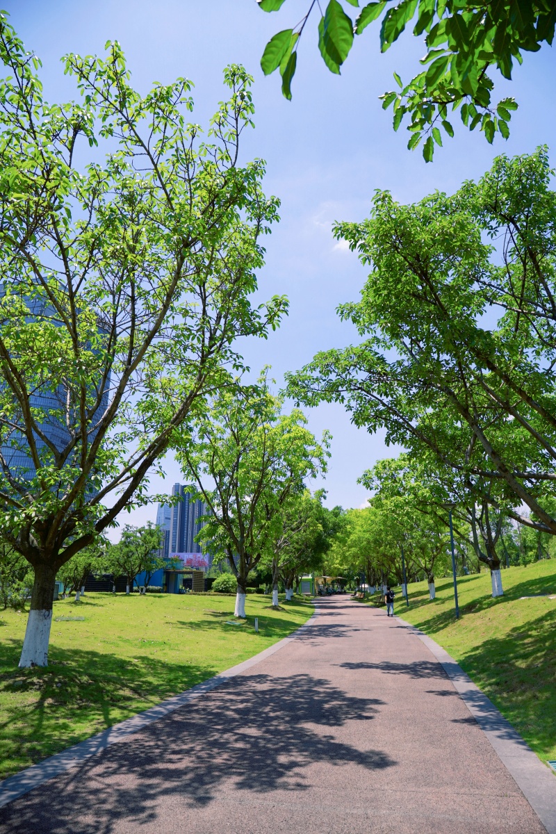 公园绿道