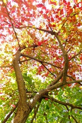DSCF0892a.jpg