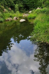 _LMX8882