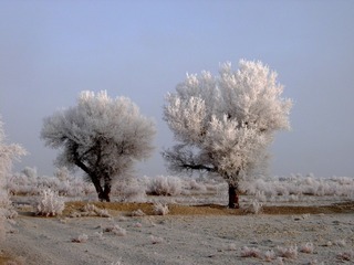 20091222-007