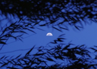moonrise