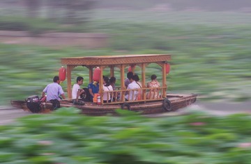 荷塘冲锋舟