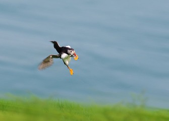 p6.jpg