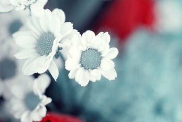 flowwerr.jpg