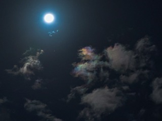 D68591AF-C7AC-4EDD-8FF1-BF08F559181E/L0/001