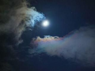 E0353C99-E88D-4DBA-A694-4A57018D2B7E/L0/001