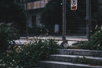 DSC04340-编辑