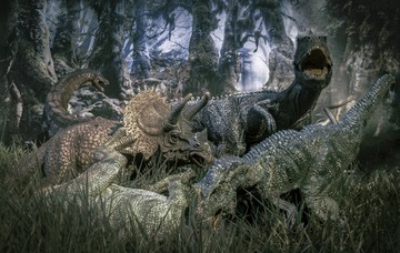_SAM0850