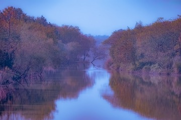 【秋水悠悠】