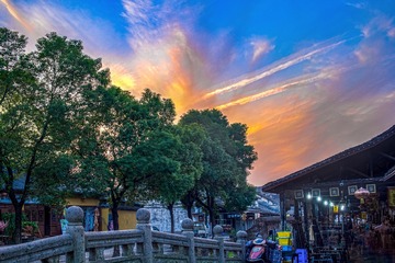 _DSC3485